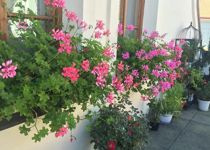 アパート オールド タウン ブティック