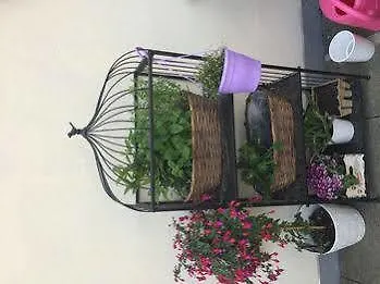 オールド タウン ブティック