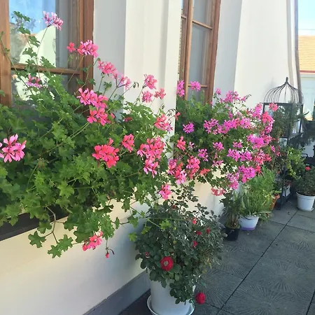 Apartment Old Town Boutique