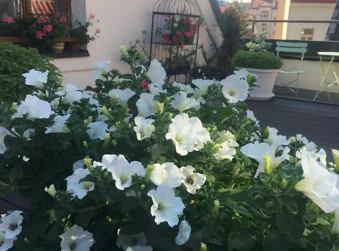 老城区精品公寓 布拉格
