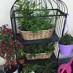 Old Town Boutique Apartment